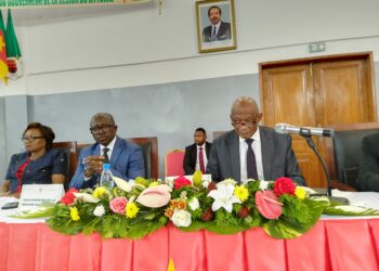 Décentralisation : Le Conseil Régional du Littoral crée une ligne budgétaire dédiée aux intervenantions en urgence