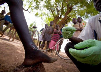 Santé : Éradication de la  Dracunculose, l’OMS examine et rappelle le cahier des charges aux pays africains concernés