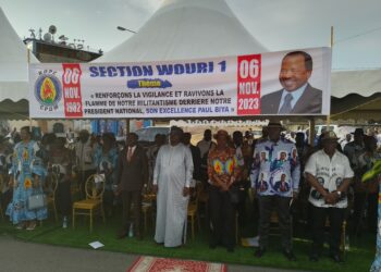 06 Novembre à Douala : La Section RDPC Wouri 1 célèbre les 41 ans de pouvoir de Paul Biya