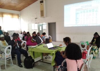 Éradication du Paludisme à l’horizon 2030 : l’INS recommande au Cameroun de redoubler d’ardeur