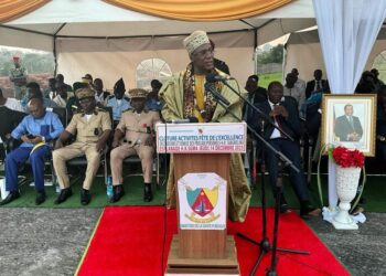 Awards en santé : Le mérite et l’excellence récompensés à Sangmélima