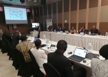 Environnement : (Comifac-WWF) l’urgence d’un financement climatique pour la préservation des forêts du bassin du Gongo