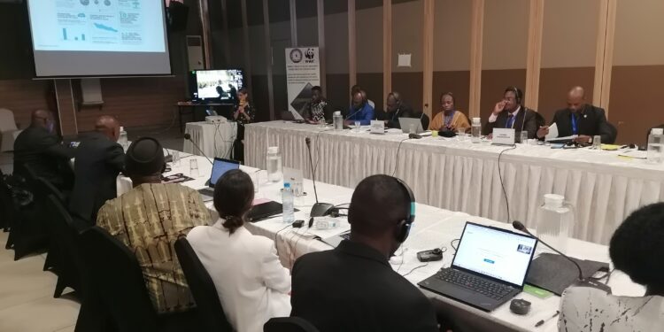 Environnement : (Comifac-WWF) l’urgence d’un financement climatique pour la préservation des forêts du bassin du Gongo