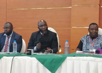 Cameroun : Le PSE (Parti Socio-Écologiste) lance officiellement ses activités