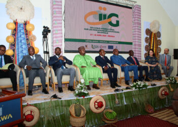 Propriété intellectuelle : vers une excroissance des indications géographiques du Made in Africa sur le marché mondial