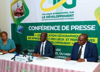 Propriété Intellectuelle : l’OAPI plus que jamais déterminé pour la protection en indications géographiques, et la valorisation de la PI