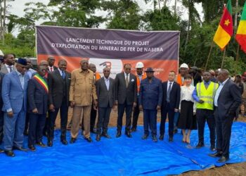 Afrique : le Cameroun et Le Congo main dans la main pour une intégration sous régionale effective.