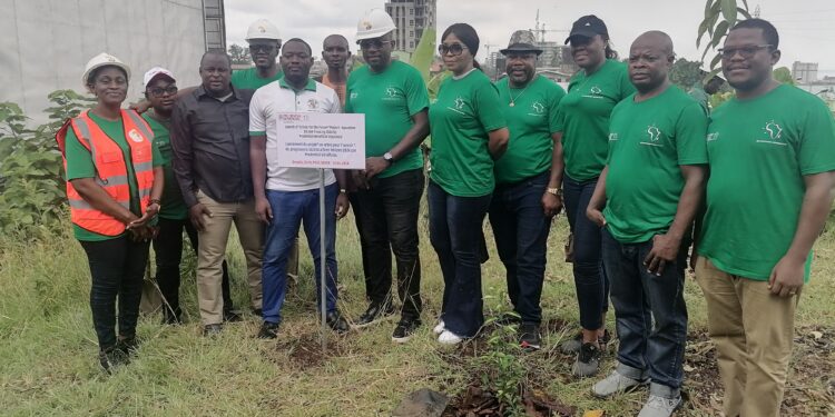 Cameroun : la Fondation KB Empower lance la campagne de reboisement pour la plantation de 20 000 arbres en 2 ans