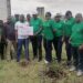 Cameroun : la Fondation KB Empower lance la campagne de reboisement pour la plantation de 20 000 arbres en 2 ans