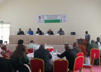 SND30 : Le PFS-AIE presente son Programme d’inclusion économique des jeunes (IEJ) dans à Douala