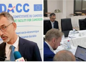 Économie : Le Comité de Pilotage du DACC fait le bilan de son programme arrivé à son terme