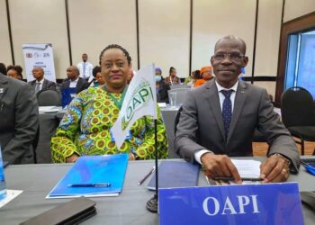 L’OAPI participe à la 48ème session du Conseil d’Administration de l’ARIPO, pour la promotion de la PI à travers la créativité et l’innovation