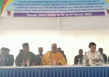 Au Cameroun, les travailleurs étrangers pris au piège de leurs manigances frauduleuses pour échapper au Fisc