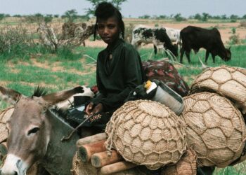 Au Burkina Faso, l’armée et ses supplétifs accusés d’avoir massacré des civils peuls (Le Monde)