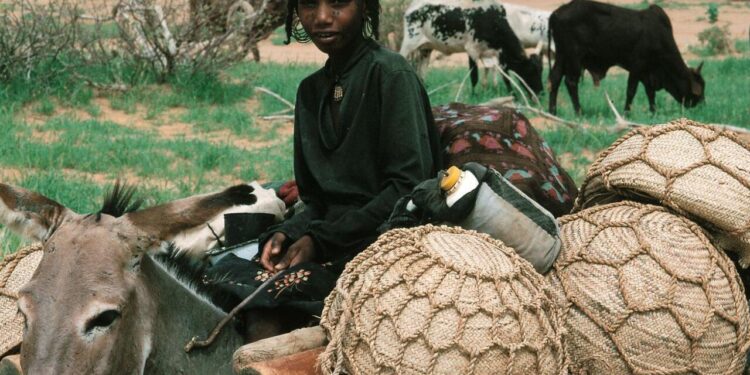 Au Burkina Faso, l’armée et ses supplétifs accusés d’avoir massacré des civils peuls (Le Monde)