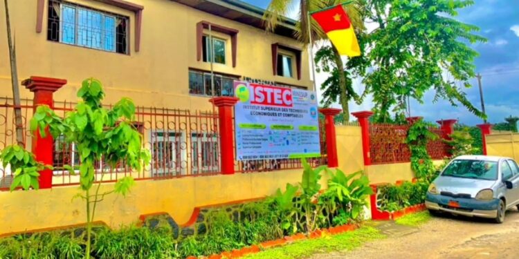 Études Supérieures : Pourquoi étudier au Complexe Istec-Istaco ?
