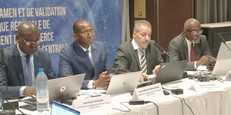 E-commerce en zone CEMAC : Un avant projet en examen pour une plus grande compétitivité à l’échelle mondiale