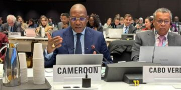 Au Conseil exécutif de l’OMS, le Cameroun plaide pour une santé inclusive, équitable et centrée sur les peuples