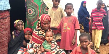 Littérature : la cohésion sociale en Afrique relue à l’aune de concepts locaux
