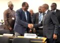 Diplomatie sanitaire : le Dr Manaouda Malachie honoré à Genève pour l’engagement du Cameroun au sein de l’OMS