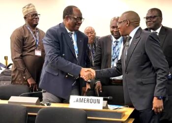 Diplomatie sanitaire : le Dr Manaouda Malachie honoré à Genève pour l’engagement du Cameroun au sein de l’OMS