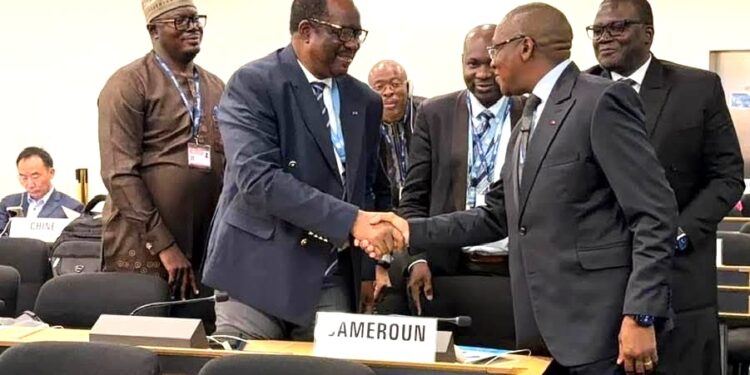 Diplomatie sanitaire : le Dr Manaouda Malachie honoré à Genève pour l’engagement du Cameroun au sein de l’OMS