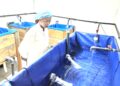 Cameroun : L’aquaculture pour limiter les importations de poissons