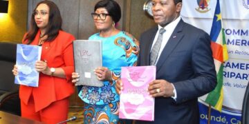 Le Cameroun, la RCA et les Nations Unies poursuivent le rapatriement volontaire des réfugiés centrafricains au Cameroun