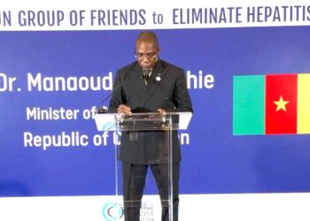 Hépatites virales : le Cameroun appelle à une mobilisation politique mondiale
