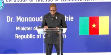 Hépatites virales : le Cameroun appelle à une mobilisation politique mondiale