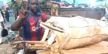Cameroun : À Douala, la collecte des déchets de carton, l’autre visage de l’exode et du chômage