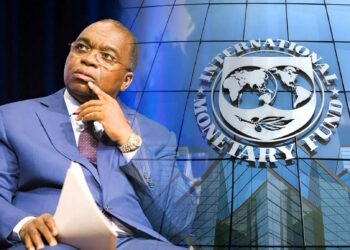 FMI-Cameroun : croissance modérée, dette sous pression, les réformes qui attendent Yaoundé