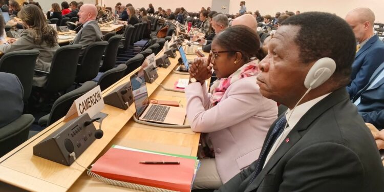 Crise des réfugiés : le Cameroun interpelle la solidarité internationale depuis Genève
